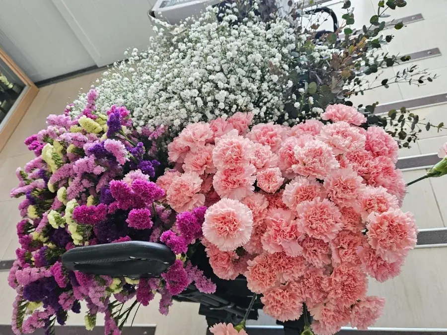 카네이션과 안개꽃